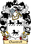 English or Welsh Family Coat of Arms (v.23) for Chantrell