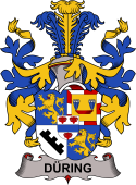 Swedish Coat of Arms for Düring