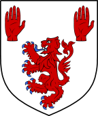 Irish Family Shield for MacAwley or MacGawley