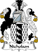 Irish Coat of Arms for Nicholson