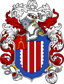 English or Welsh Coat of Arms for Knight