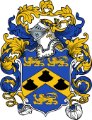 English or Welsh Coat of Arms for James