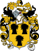 English or Welsh Coat of Arms for Birkby