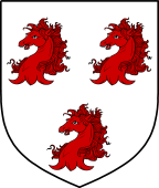 Irish Family Shield for Gwynn (Cork)
