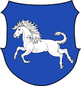 German Family Shield for Diller