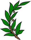 Olive or Laurel Branch