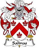 Portuguese Coat of Arms for Salinas