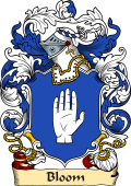English or Welsh Family Coat of Arms (v.23) for Bloom