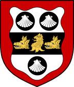 Irish Family Shield for Leader (Cork)