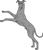 Greyhound Salient Guardant