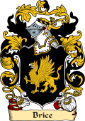 English or Welsh Family Coat of Arms (v.23) for Brice (Somersetshire)