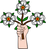 Hand 75 Erect Holding Roses (3)