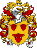 English or Welsh Coat of Arms for Bull