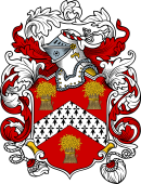 English or Welsh Coat of Arms for Baron
