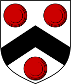 Scottish Family Shield for Mertoun or Merton
