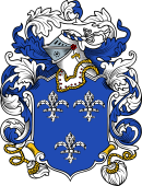 English or Welsh Coat of Arms for Burrough (or Burrow-Lincolnshire)