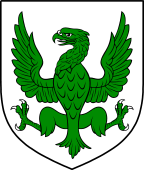 Irish Family Shield for MacEniry or MacEniery or MacHenry