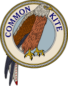 The Common Kite-M