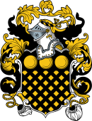 English or Welsh Coat of Arms for Chamberlayn