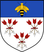 English Family Shield for Peel