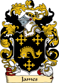 English or Welsh Family Coat of Arms (v.23) for James (Barrow-Court, Somerset)