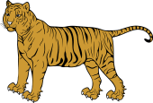 Tiger Statant