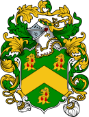 English or Welsh Coat of Arms for Plummer (or Plomer-Hertfordshire, and Bedford)