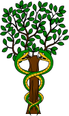 Tree (Tall) Serpents Entwined