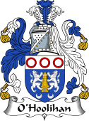 Irish Coat of Arms for O'Holohan or Hoolihan