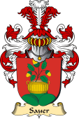 v.23 Coat of Family Arms from Germany for Sauer