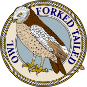 Forked Tail Owl-M