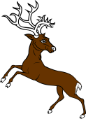 Reindeer Springing Reguardant