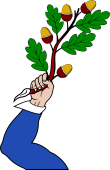 Arm Embowed, Vested, Cuffed, Holding an Oak Branch