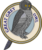 Grey Grey or CINEREOUS Owl-M