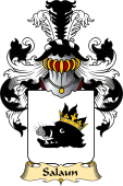 French Family Coat of Arms (v.23) for Salaun
