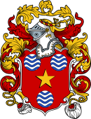 English or Welsh Coat of Arms for Wells
