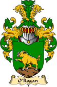 Irish Family Coat of Arms (v.23) for O'Rogan