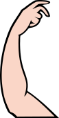 Arm, Female