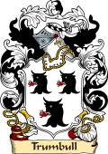 English or Welsh Family Coat of Arms (v.23) for Trumbull (East Hampsted, Berkshire)