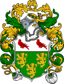 English or Welsh Coat of Arms for Rooney