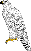 The White Falcon
