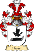 v.23 Coat of Family Arms from Germany for Hassel