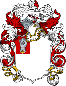 English or Welsh Coat of Arms for Topp (Gloucestershire, Devonshire and Wiltshire)