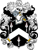 English or Welsh Coat of Arms for Watkins