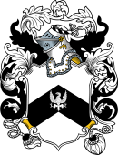 English or Welsh Coat of Arms for Woolley