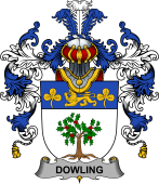 Irish Family Coat of Arms (v.25b) Dowling or O'Dowling