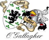 Sept (Clan) Coat of Arms from Ireland for O'Gallagher