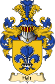 English Coat of Arms (v.23) for the family Holt II