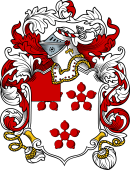 English or Welsh Coat of Arms for Derby (Ref Berry)