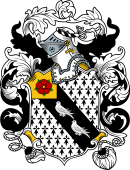 English or Welsh Coat of Arms for Wilkins